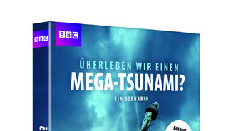 "Überleben wir einen Mega-Tsunami?"