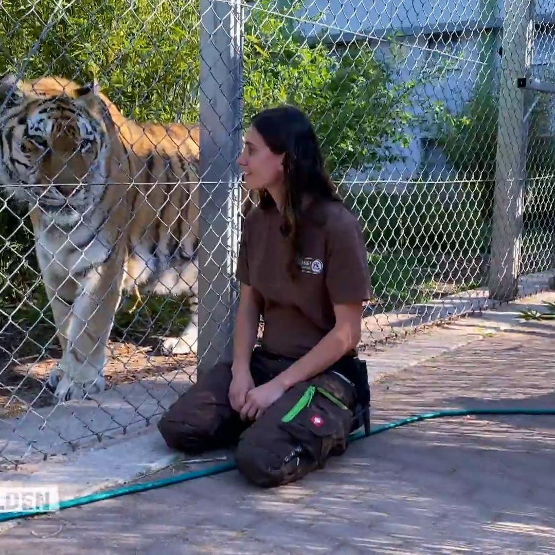 In dieser Tierstation sollte man als Tierpflegerin eher angstfrei sein In dieser Tierstation sollte man als Tierpflegerin eher angstfrei sein
