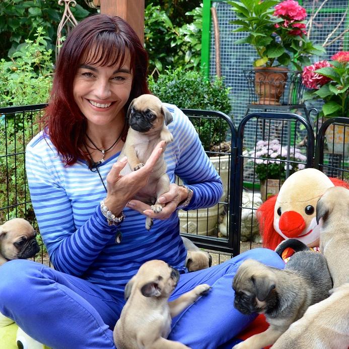 Tiergeschichten2 - VOX-DOCMA TV-HEIKE REINHARDT - Retromops-Welpen Tiergeschichten2 - VOX-DOCMA TV-HEIKE REINHARDT - Retromops-Welpen