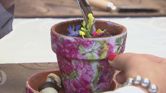 Pfälzer Schätze unter der Blumenerde