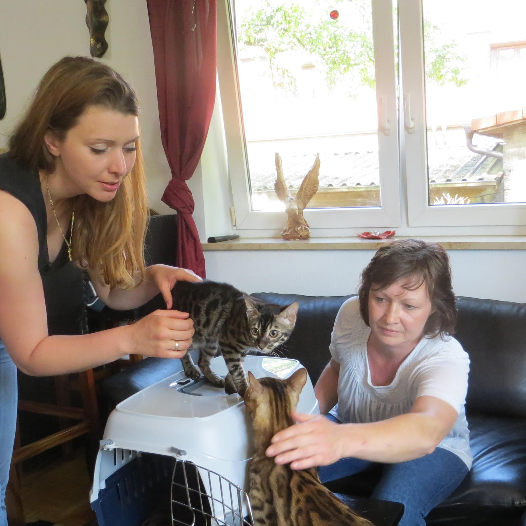 Katzensoap VOX DOCMA TV Katzensoap VOX DOCMA TV