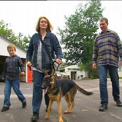 TH Hamburg Hundevermittlung TH Hamburg Hundevermittlung