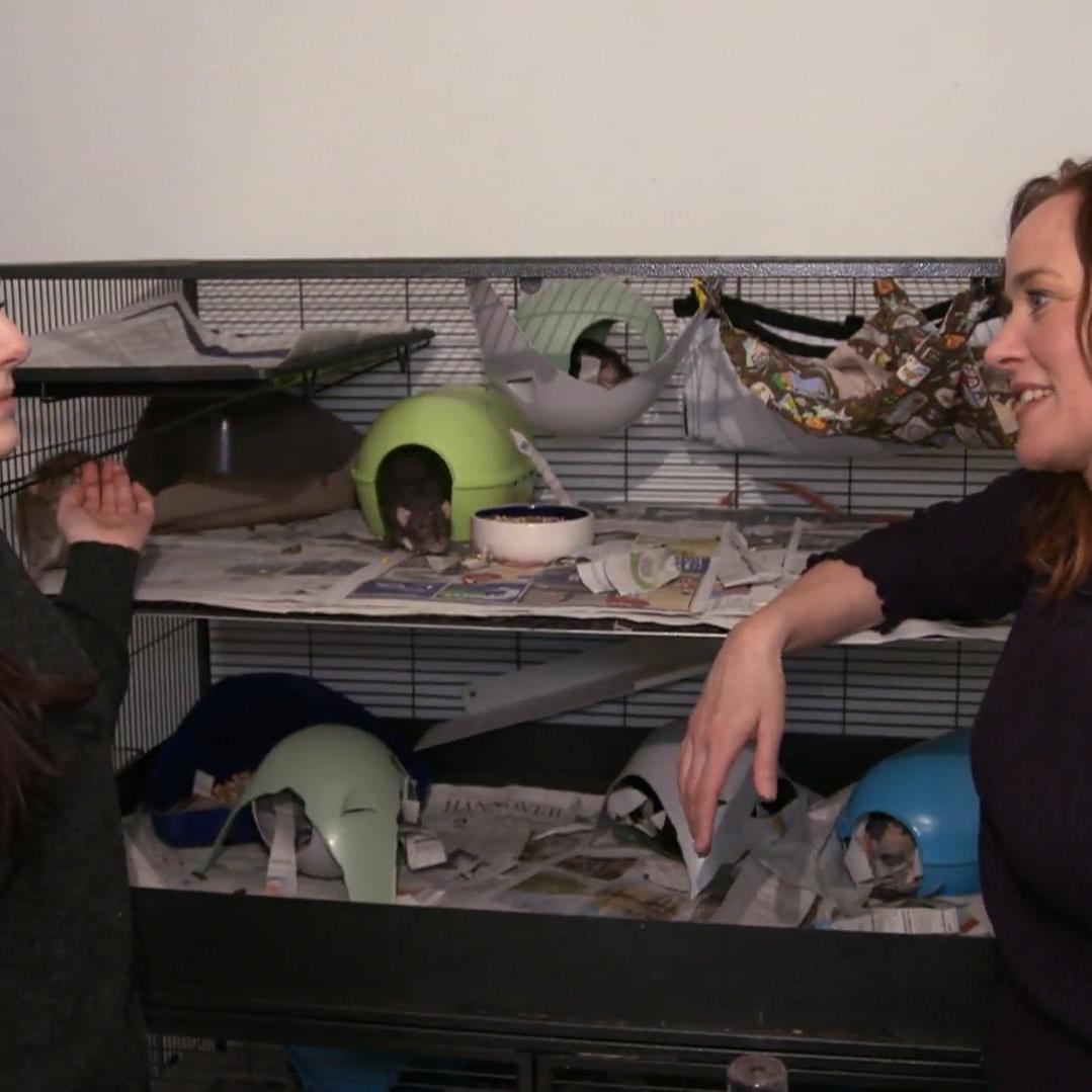 hundkatzemaus-Moderatorin Kate Kitchenham (r) mit Vivian Baumert (l) in ihrer Pflegestelle der Rattenhilfe Nordwest