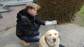 Die gängigsten Hundemythen
