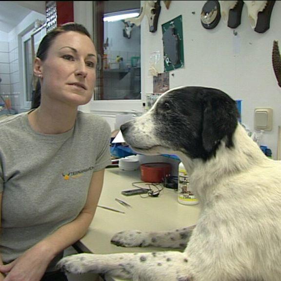 tiergeschichten1 a2 tiergeschichten1 a2