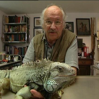 Sprechstunde1 dr wolf leguan1 Sprechstunde1 dr wolf leguan1