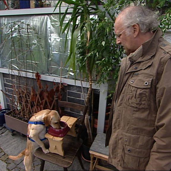 Sprechstunde - Hund mit Megasophagus Sprechstunde - Hund mit Megasophagus