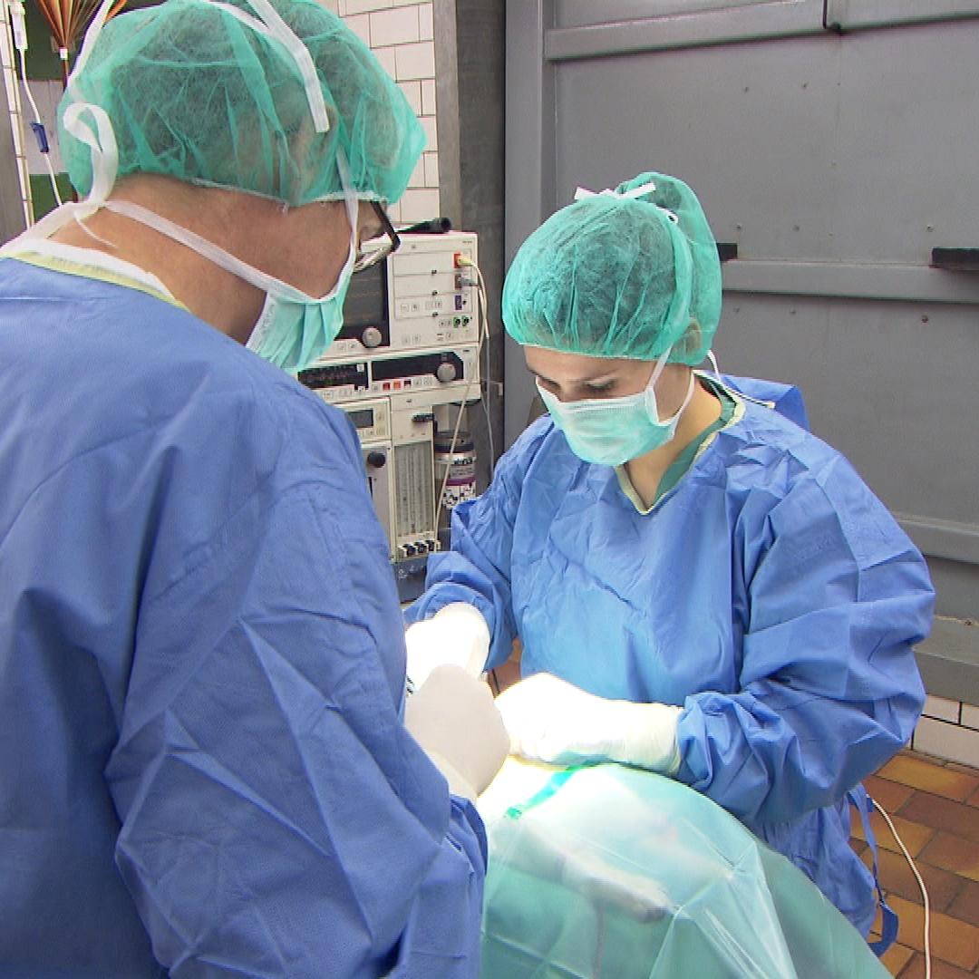TK Thiet - Lina VOX-DOCMA TV - Dr. Werner Thiet bei der Arbeit TK Thiet - Lina VOX-DOCMA TV - Dr. Werner Thiet bei der Arbeit