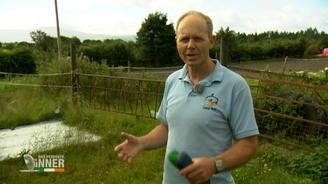 Folke ist Tierexperte