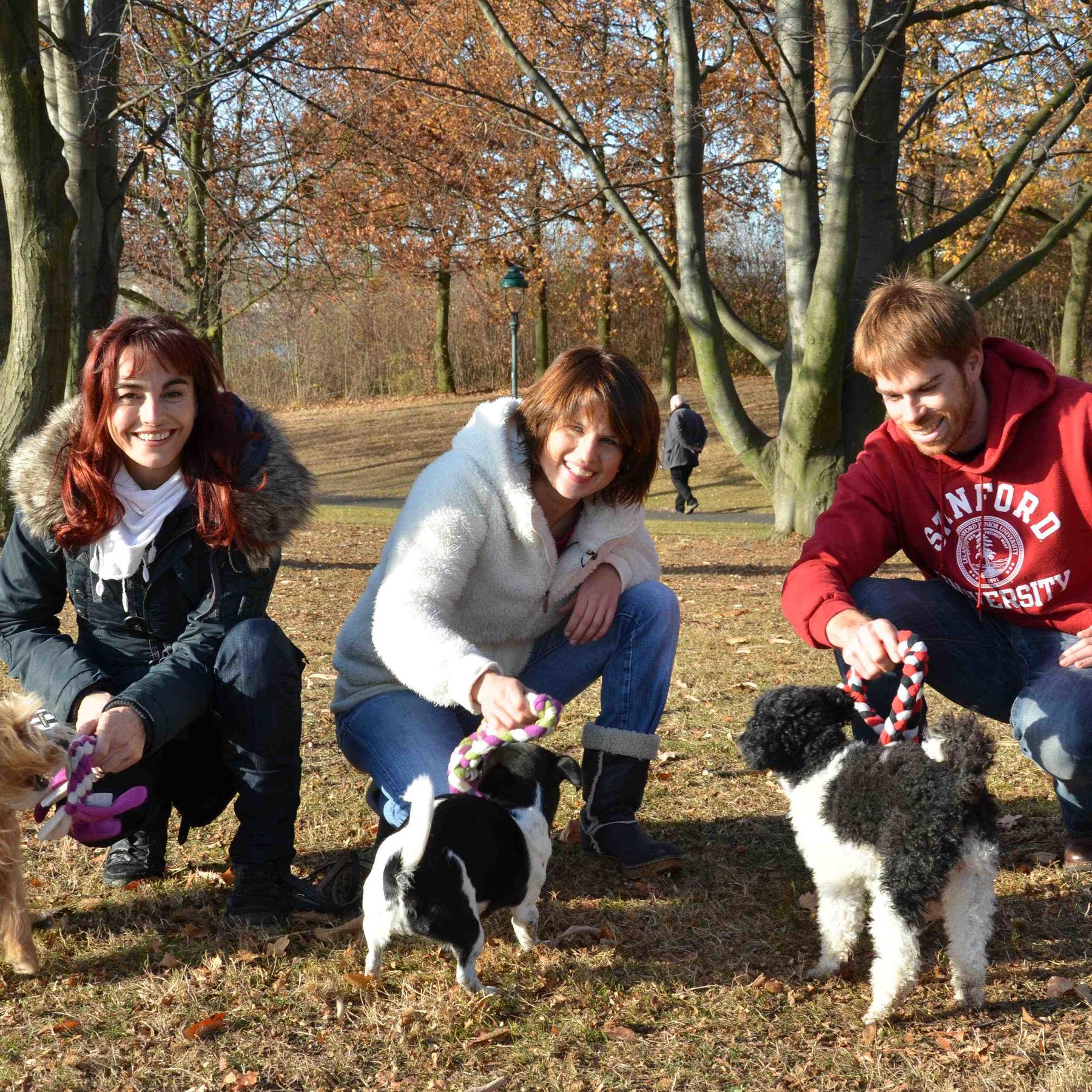 Tiergeschichten1 - Bild 2 - Hundespielzeug Tiergeschichten1 - Bild 2 - Hundespielzeug