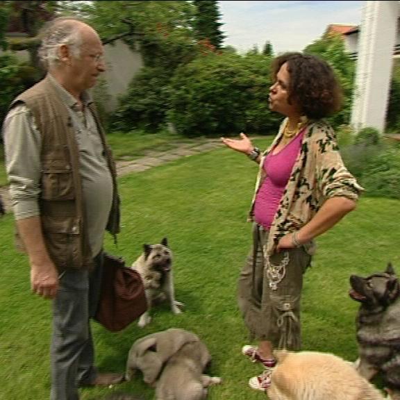 sprechstunde1 a2 foo hunde sprechstunde1 a2 foo hunde