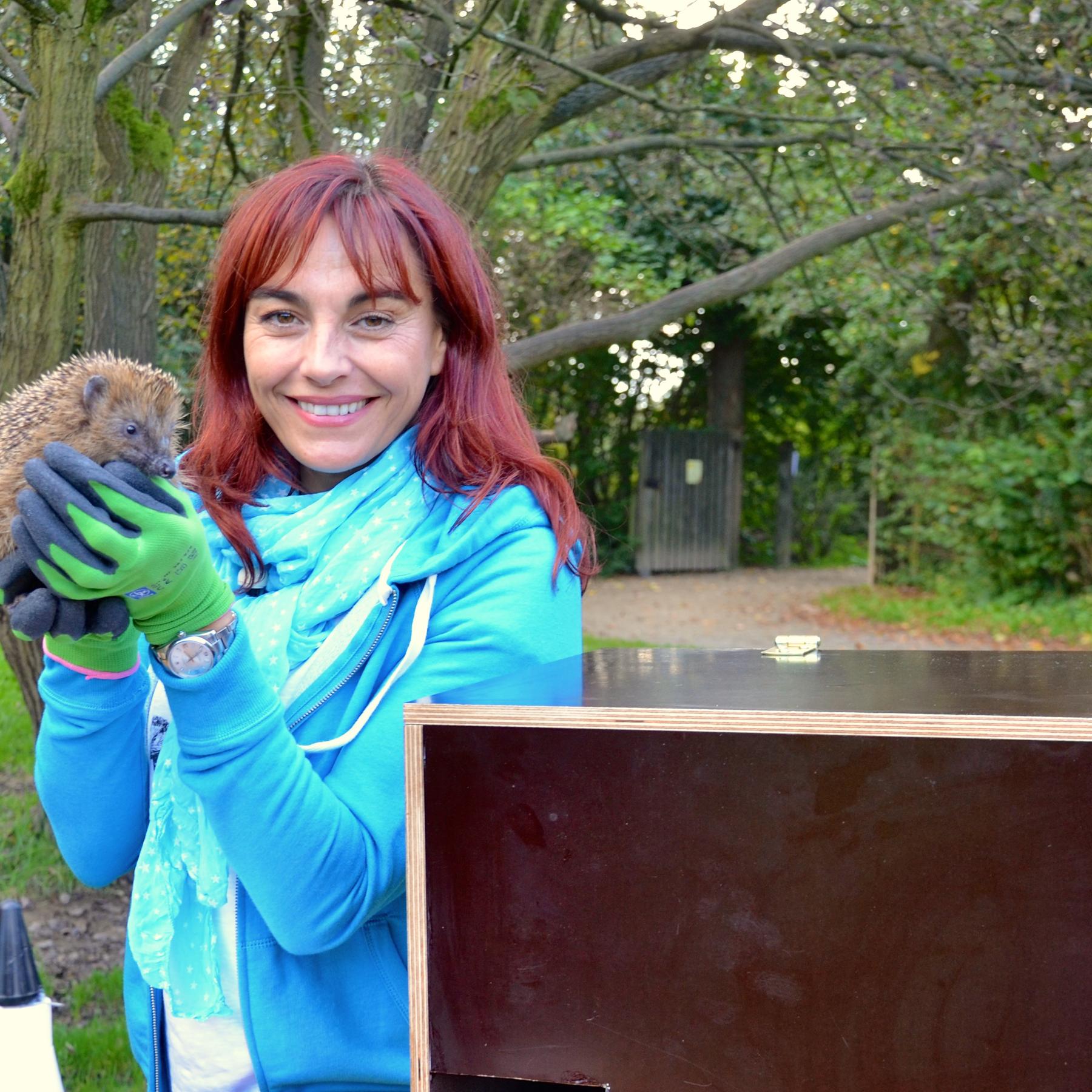 TG2 - Igelgarten VOX DOCMA TV Ein neugieriger Artgenosse besucht hundkatzemaus-Reporterin Diana Eichhorn beim Bau eines Igelhauses.JPG