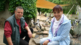 Von Pinguinen und Menschen