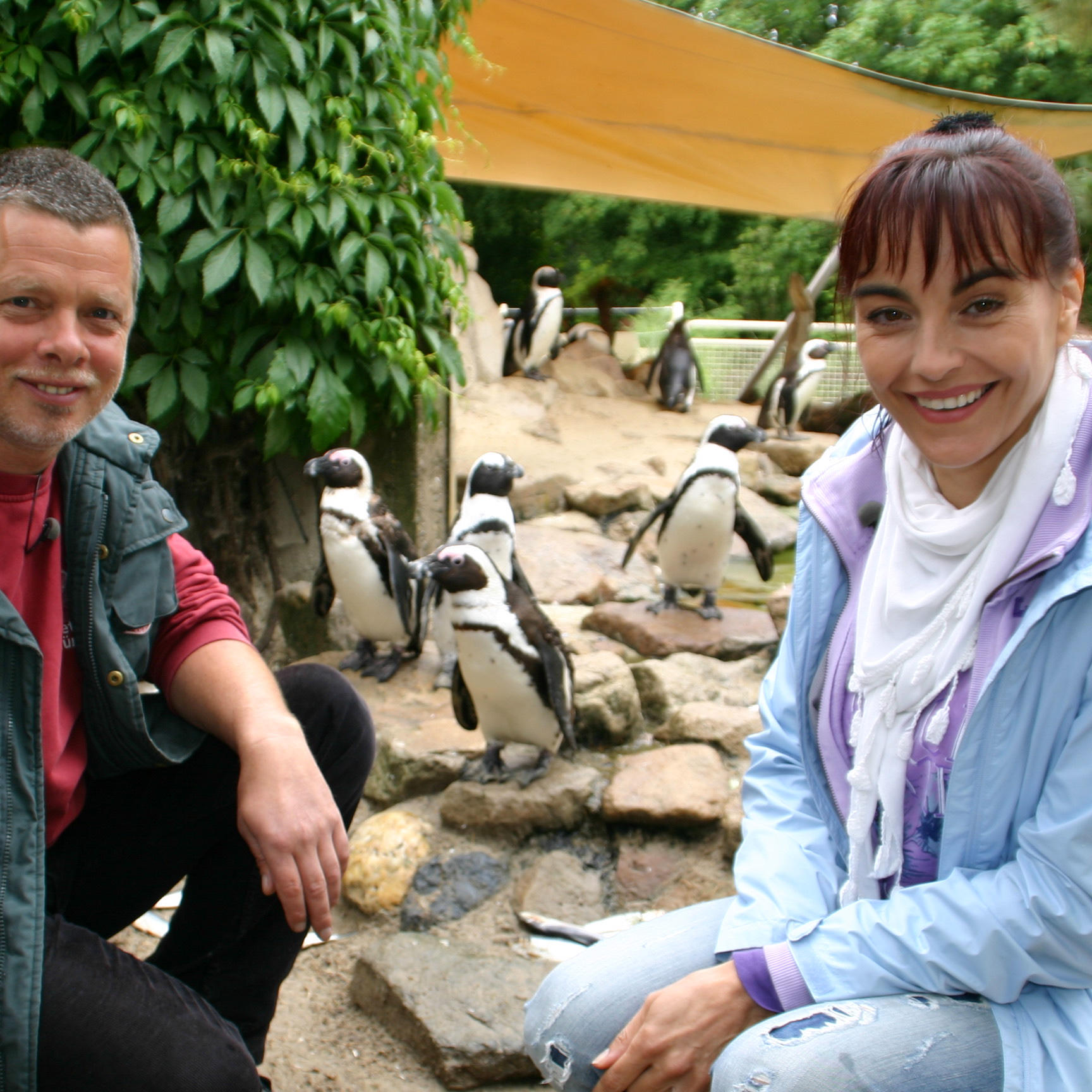 Pinguine 2 Pinguine 2