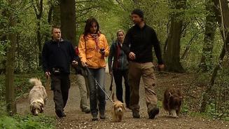 Geodogs - Schnitzeljagd mal anders!