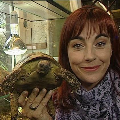 Tiergeschichten 1 - Foto 1 - Schildkrte berwinterung Tiergeschichten 1 - Foto 1 - Schildkrte berwinterung
