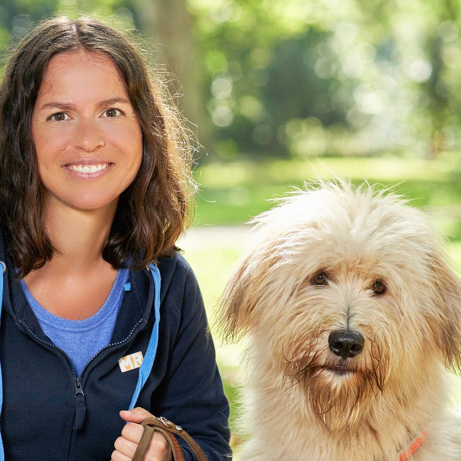 Der Hundeprofi - Rütter Team Der Hundeprofi - Rütter Team