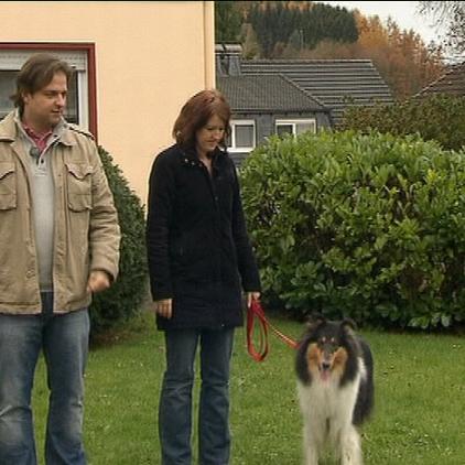 hundeprofi1 rütter und frauchen hundeprofi1 rütter und frauchen