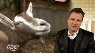 Die wilde Shopping-Jagd kann losgehen