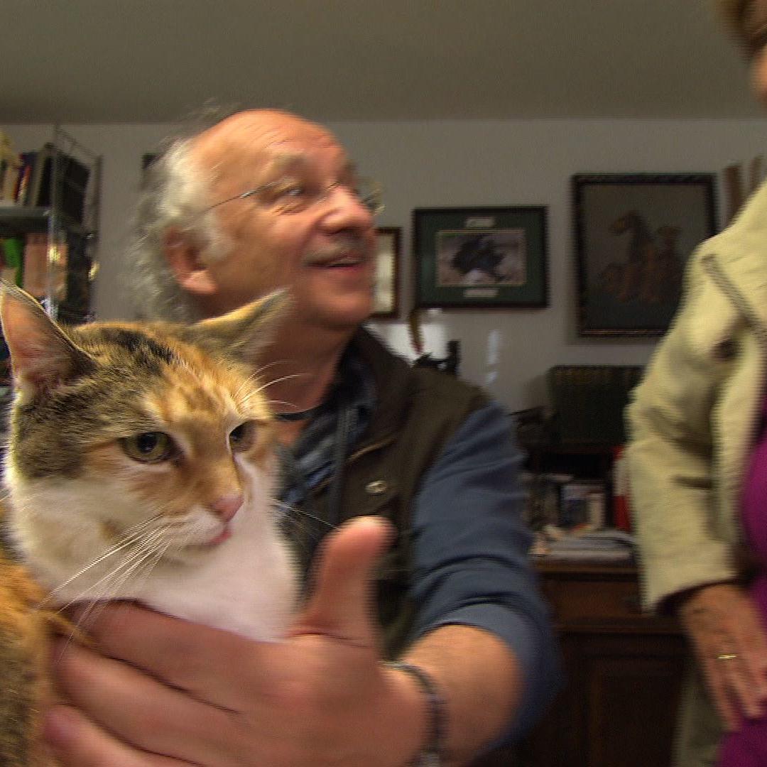 Sprechstunde - VOX - Dr. Wolf und Fundkatze Molly Sprechstunde - VOX - Dr. Wolf und Fundkatze Molly
