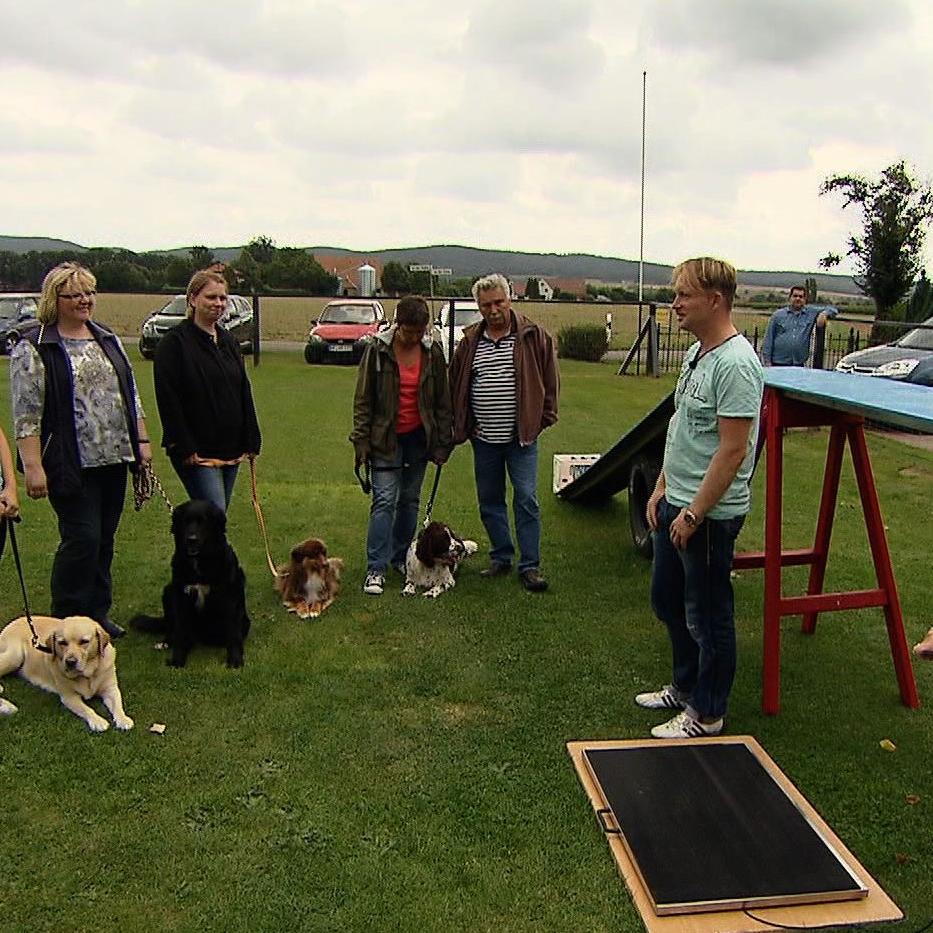 Tiergeschichten3 - VOX - Finales Wiegen auf dem Hundeplatz - Haben die Vierbeiner ihr Traumgewicht erreichen knnen Tiergeschichten3 - VOX - Finales Wiegen auf dem Hundeplatz - Haben die Vierbeiner ihr Traumgewicht erreichen knnen