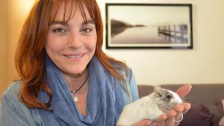 Tipps zur Degu-Haltung