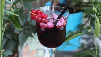 Blumen & Blüten mit Schuss