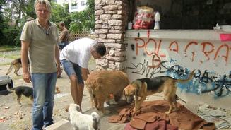 Tierdrama in Montenegro