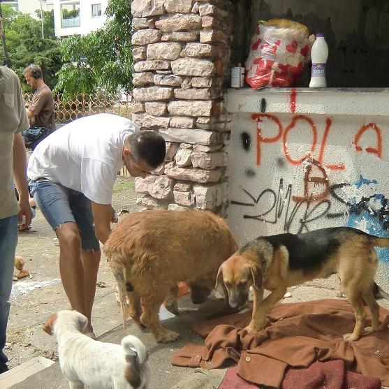 Tiere in Not - VOX-DOCMA TV - Frank Weber in Montenegro Tiere in Not - VOX-DOCMA TV - Frank Weber in Montenegro