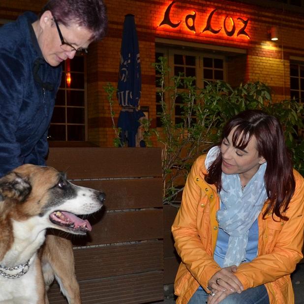 Tiergeschichten1 - VOX-DOCMA TV - Diana und die amtliche Tierfngerin Manuela Backhaus retten einen herrenlosen Hund
