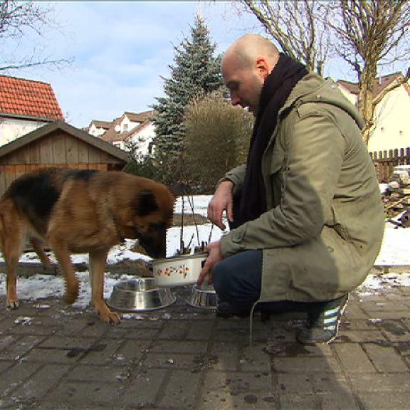 Tieranwalt 1 - Hund bekommt Speisereste Tieranwalt 1 - Hund bekommt Speisereste