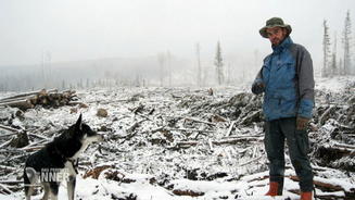 Was hat Wolf mit der Papaya vor?