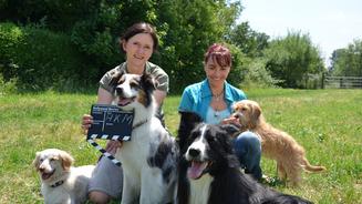 Hundehaltung außer Kontrolle