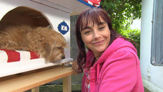 Hundebetten zum Selberbauen