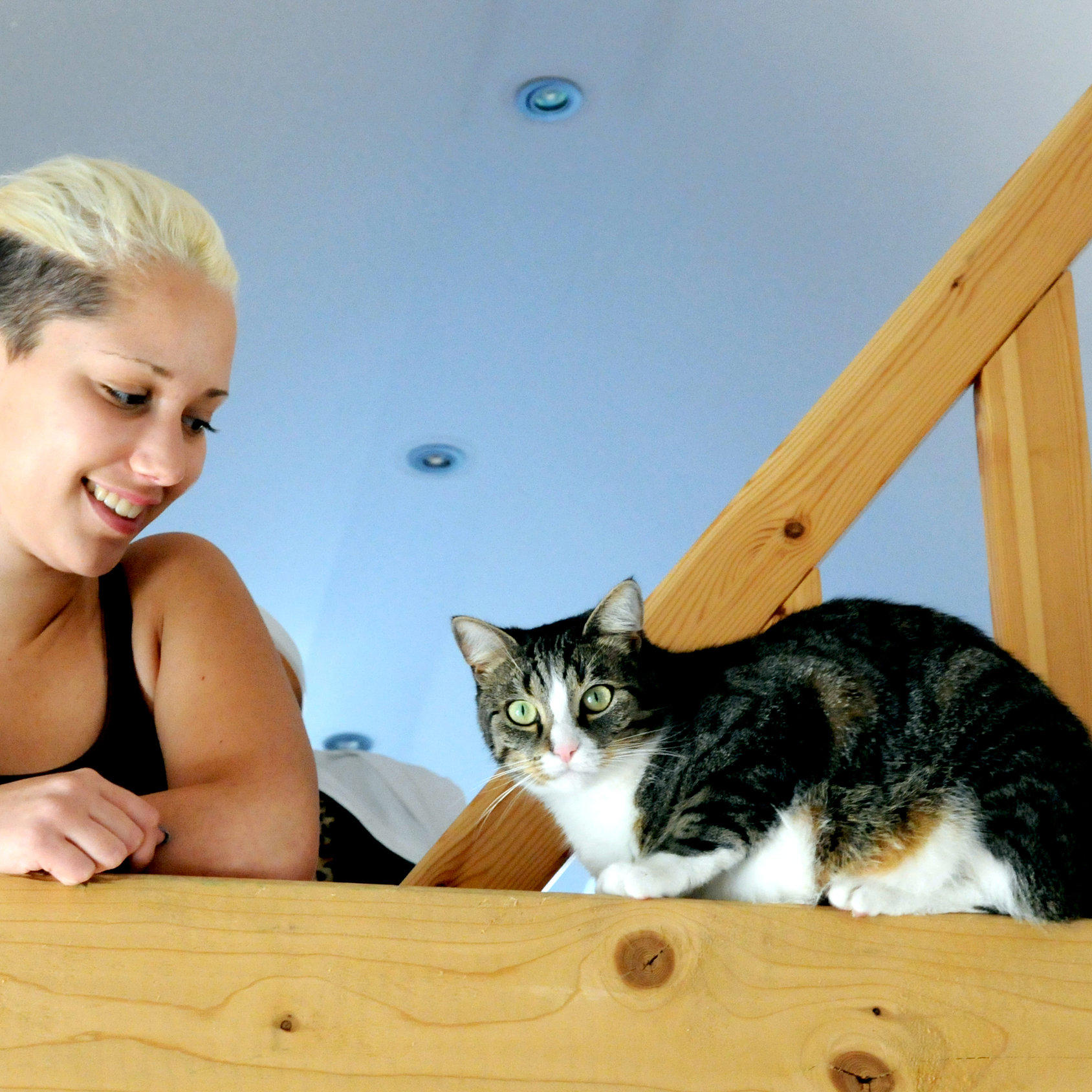 Katzen sind Umsatzbringer Katzen sind Umsatzbringer