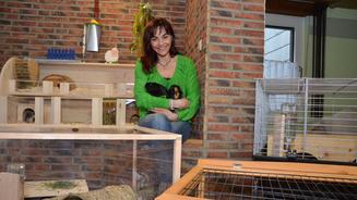 Die gängigsten Katzenmythen