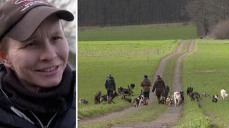 Respekt! Gassi gehen mit 30 (!) Hunden