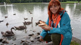 Enten füttern hat fatale Folgen