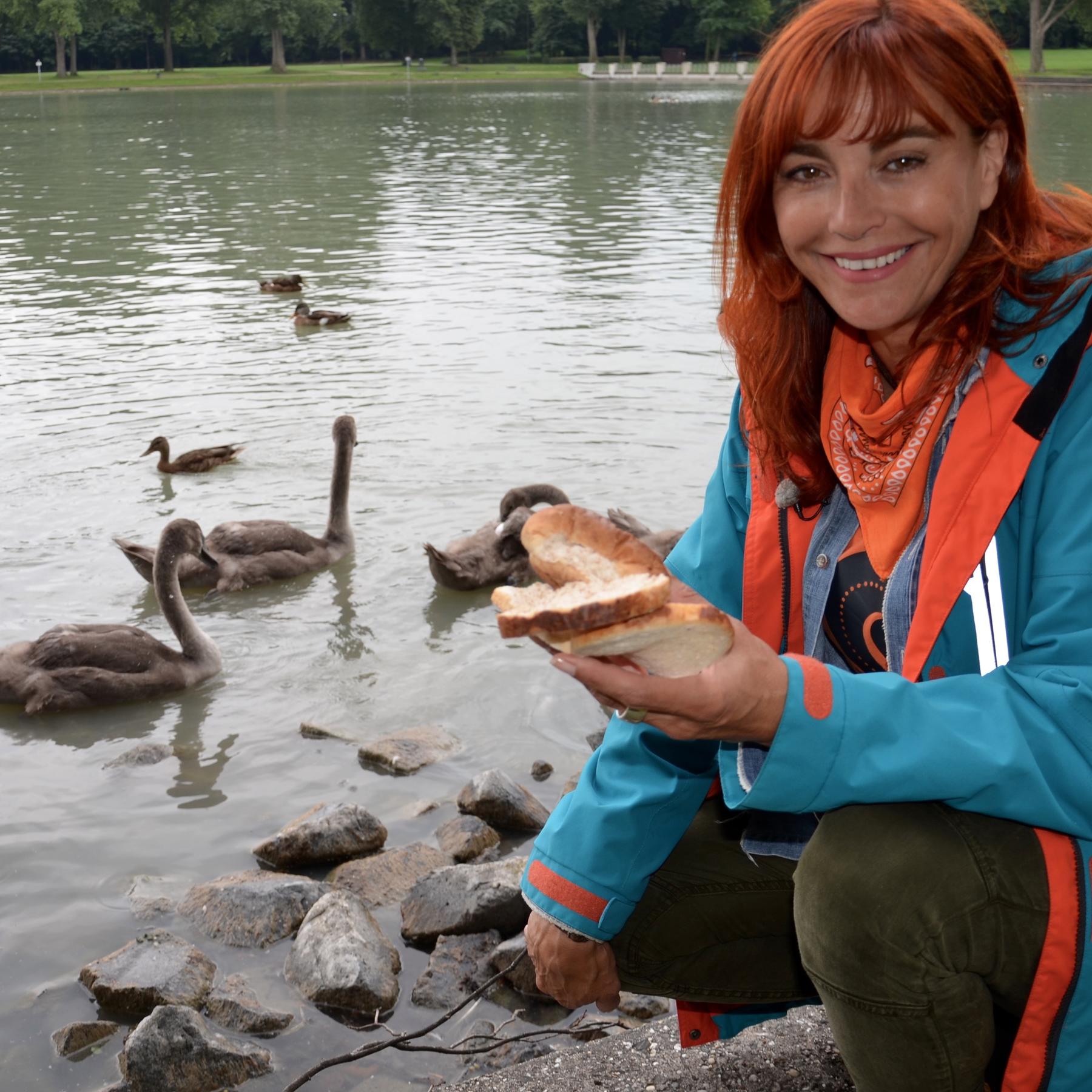 Diana Enten fttern VOX DOCMA TV Diana Enten fttern VOX DOCMA TV