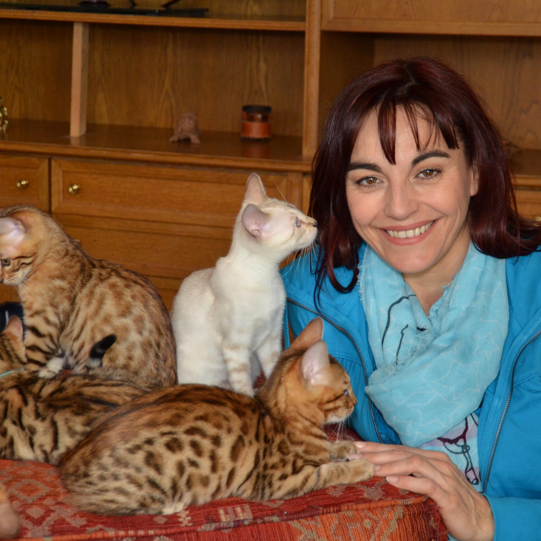 Tiergeschichten2 - Diana Eichhorn mit Bengal-Katzen Tiergeschichten2 - Diana Eichhorn mit Bengal-Katzen