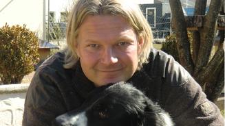 Drei Hunde suchen ein Zuhause!