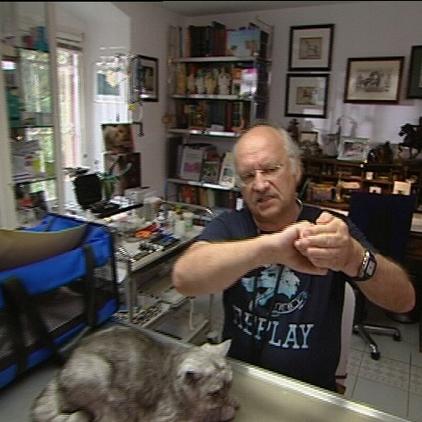 sprechstunde1 Dr Wolf und Katze mit Hftdysplasie sprechstunde1 Dr Wolf und Katze mit Hftdysplasie