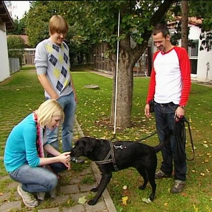 th stuttgart hund patti th stuttgart hund patti
