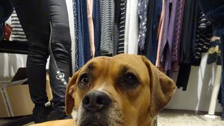 Schnappschüsse vom Dreh