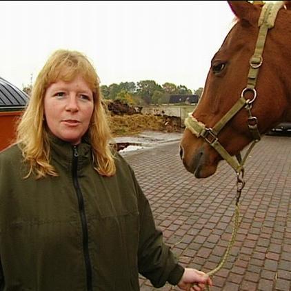 tamme hanken lissy tamme hanken lissy