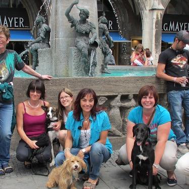 Tiergeschichten1 - VOX-DOCMA TV-HEIKE REINHARDT - Hundeverkehrstraining Tiergeschichten1 - VOX-DOCMA TV-HEIKE REINHARDT - Hundeverkehrstraining
