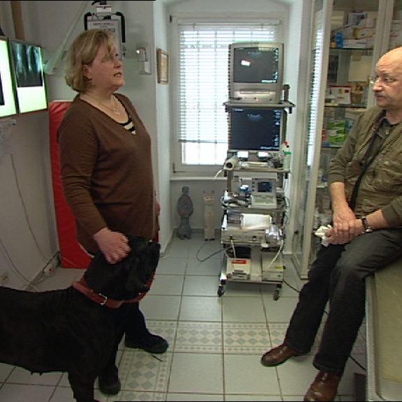 Sprechstunde - Dr Wolf und Hund mit Ausfluss Sprechstunde - Dr Wolf und Hund mit Ausfluss