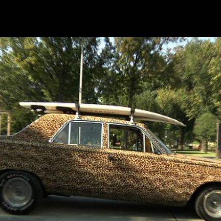 Leoparden Dodge 2 Leoparden Dodge 2