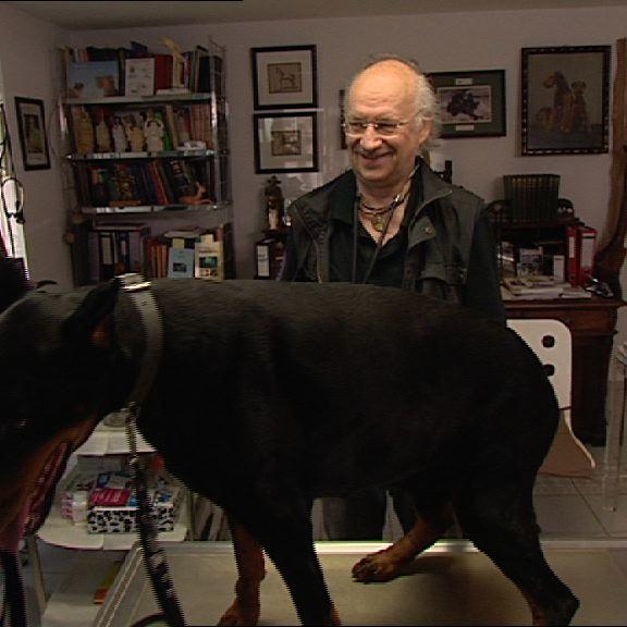 Sprechstunde1 - Hund Phlegmone Sprechstunde1 - Hund Phlegmone
