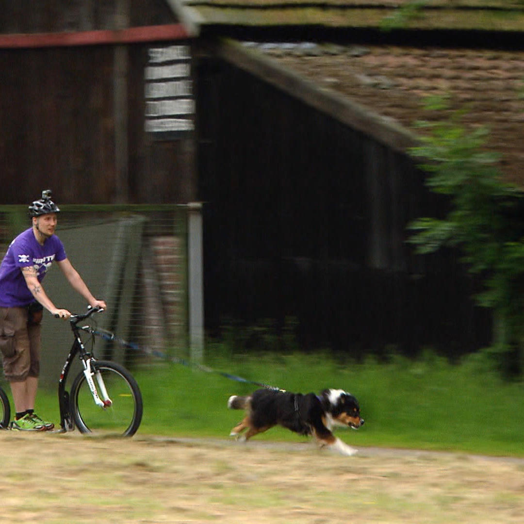 Diana Dogscooter 2 VOX DOCMA TV Diana Dogscooter 2 VOX DOCMA TV